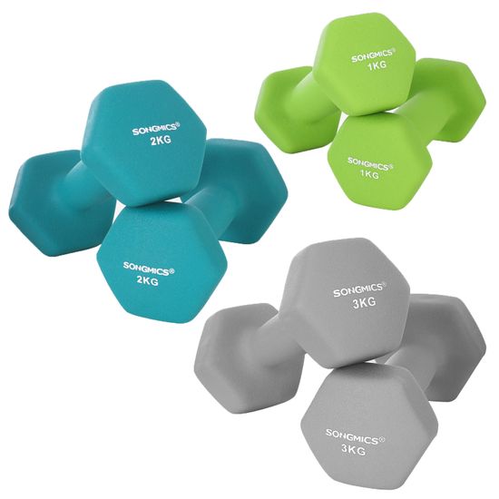 SONGMICS Juego de Mancuernas Hexagonales con Soporte - 2 x 1 kg, 2 x 2