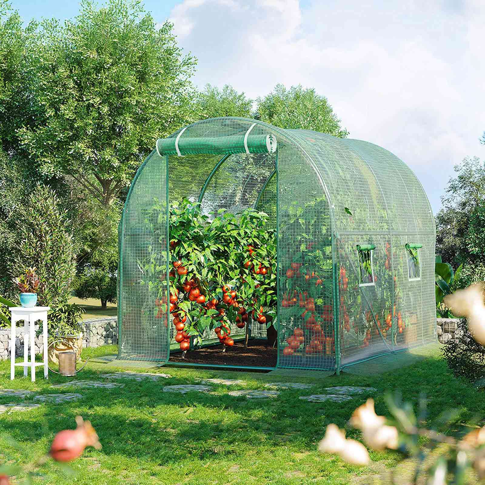 SONGMICS Invernadero, 250 x 200 x 200 cm, Túnel de jardín, Cobertizo